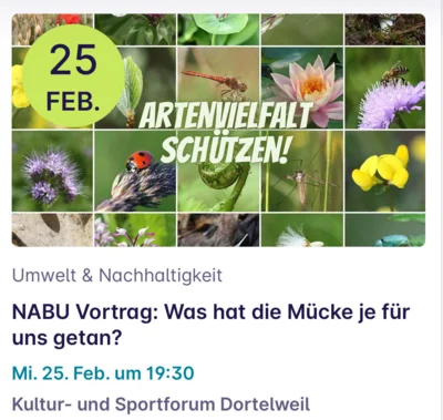 Veranstaltung: Nicht im HdB, aber super spannend: NABU Vortrag - Was hat die M&uuml;cke je f&uuml;r uns getan? Mi 25.​02.​2026