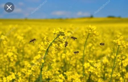 Foto zur Veranstaltung (Bild vergr&ouml;&szlig;ern)