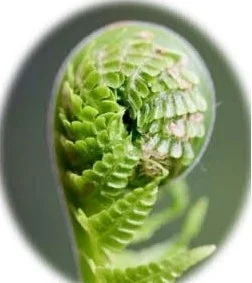 Foto zur Veranstaltung (Bild vergr&ouml;&szlig;ern)