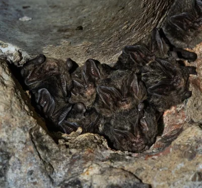 Foto zur Veranstaltung (Bild vergr&ouml;&szlig;ern)