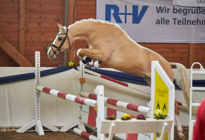 Foto zur Veranstaltung (Bild vergr&ouml;&szlig;ern)