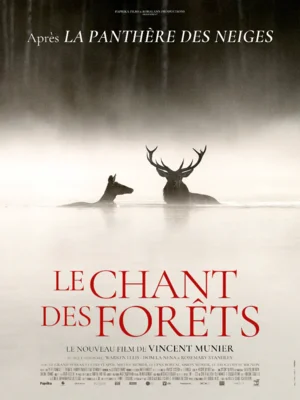 LE CHANT DES FORETS (Bild vergr&ouml;&szlig;ern)