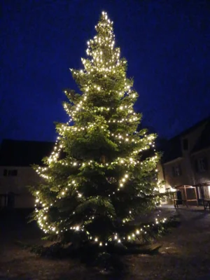 Foto: Hafner