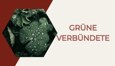 Foto zur Veranstaltung (Bild vergr&ouml;&szlig;ern)