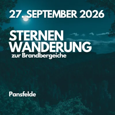 Symbolbild Sternenwanderung ©Canva (Bild vergr&ouml;&szlig;ern)