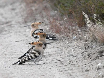 Foto zur Veranstaltung