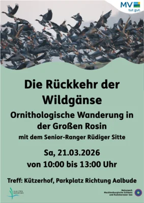 Foto zur Veranstaltung