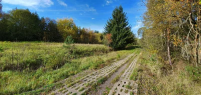 Kolonnenweg am grünen Band (Bild vergr&ouml;&szlig;ern)