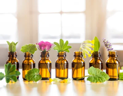 Foto zur Veranstaltung (Bild vergr&ouml;&szlig;ern)