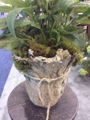 Foto zur Veranstaltung (Bild vergr&ouml;&szlig;ern)