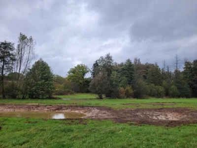 Flache Teiche, Grabentaschen oder mäandrierende Gräben können abfließendes Wasser bremsen oder zurückhalten_LPV