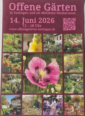 Foto zur Veranstaltung