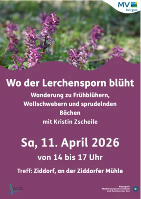 Foto zur Veranstaltung
