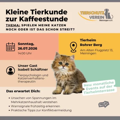 Ankündigung Infoveranstaltung (Bild vergr&ouml;&szlig;ern)