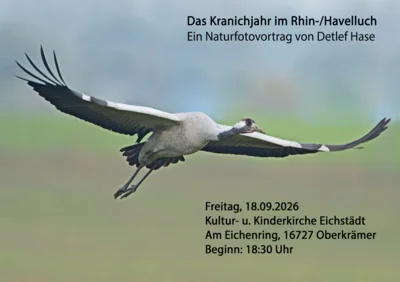 Foto zur Veranstaltung (Bild vergr&ouml;&szlig;ern)