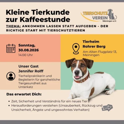 Ankündigung Infoveranstaltung (Bild vergr&ouml;&szlig;ern)
