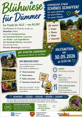 Blühwiese für Dümmer