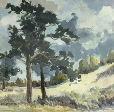Wanderdüne - Richard Fiebig (Bild vergr&ouml;&szlig;ern)