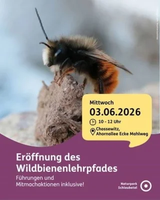Foto zur Veranstaltung