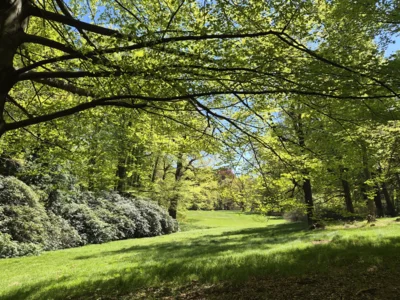 Schlosspark