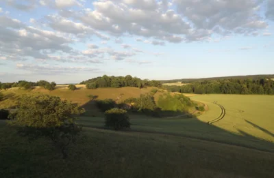 Zechsteinriff Kochsberg bei Ranis (Bild vergr&ouml;&szlig;ern)