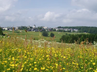 Bergwiese bei Neustadt am Rennweg (Bild vergr&ouml;&szlig;ern)