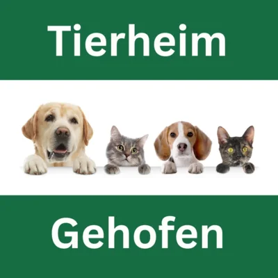 Sommerfest im Tierheim Gehofen