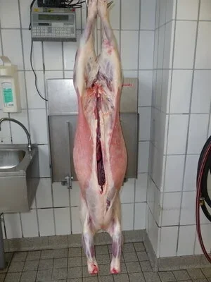 Foto zur Veranstaltung