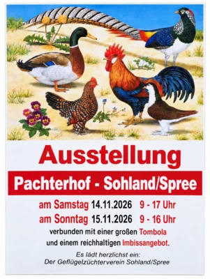 Foto zur Veranstaltung (Bild vergr&ouml;&szlig;ern)