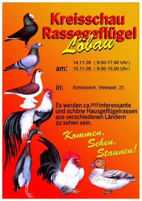 Foto zur Veranstaltung (Bild vergr&ouml;&szlig;ern)