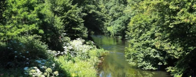 Veranstaltung: Durch die Buchenw&auml;lder um Reinshagen an der Wupper So 14.​09.​2025