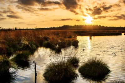 Moorlandschaft mit Sonnenuntergang - Bild von Herbert Aust auf Pixabay