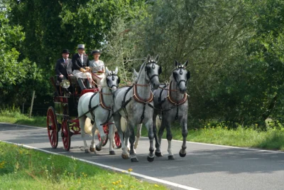 Traditionsfahrturnier Horka (Bild vergr&ouml;&szlig;ern)