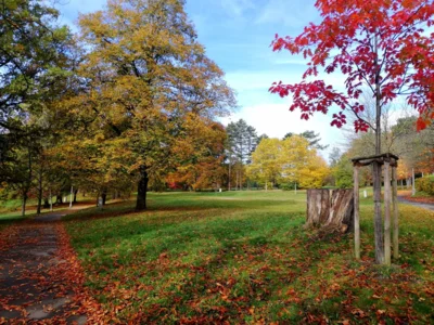 Park im Herbst