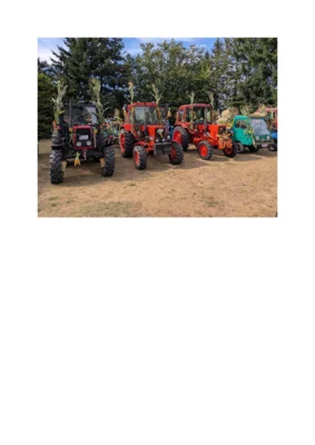 Erntefest (Bild vergr&ouml;&szlig;ern)