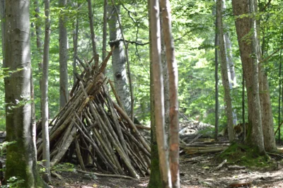 Veranstaltung: Laubh&uuml;ttenbau mit &Uuml;bernachtung im Wald 19. – 20.08.2026