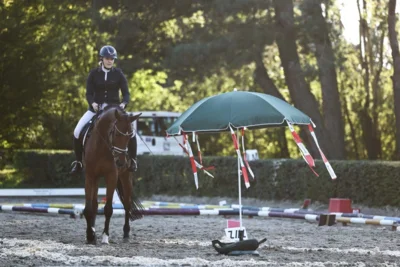 Gelassenheit zeichnet jedes gute Freizeitpferd oder -pony aus. Foto ©Andrea Zachrau (Bild vergr&ouml;&szlig;ern)