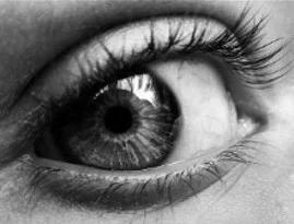 Auge Zamani (Bild vergr&ouml;&szlig;ern)