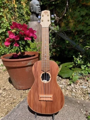 Ukulele spielen kann man überall!