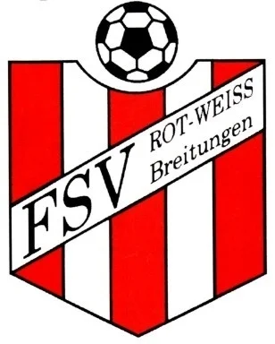 Logo FSV