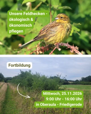 Foto zur Veranstaltung