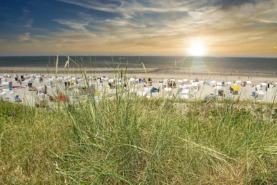© Pixabay (Bild vergr&ouml;&szlig;ern)