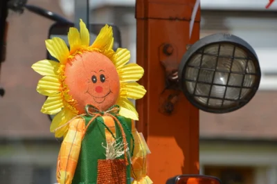 Foto zur Veranstaltung