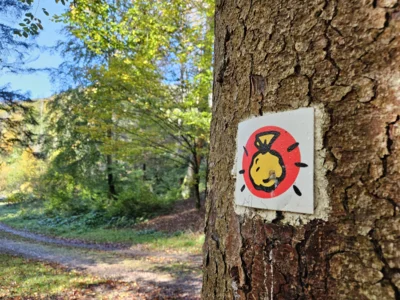 Goldpfad-Markierung (Bild vergr&ouml;&szlig;ern)
