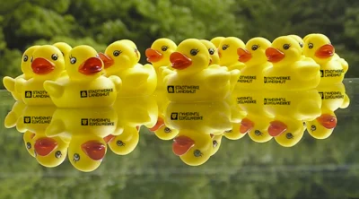 Foto zur Veranstaltung
