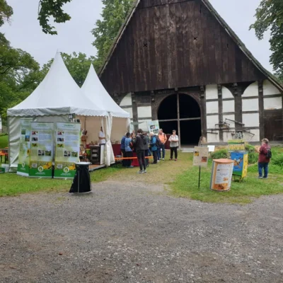 (c) Imkerverein Detmold