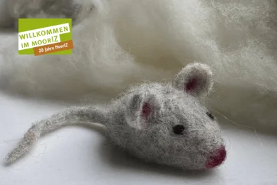Filzen für Kinder | 30.10., 14:30 Uhr