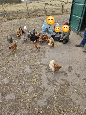 Foto zur Veranstaltung