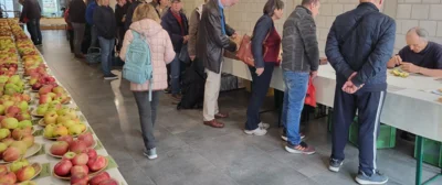 Sortenbestimmung beim Apfel- und Birnenmarkt 2025. (Bild vergr&ouml;&szlig;ern)