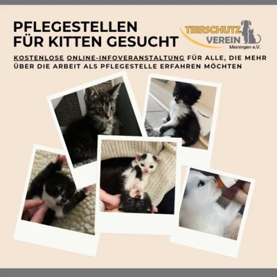 Ankündigung Infoveranstaltung (Bild vergr&ouml;&szlig;ern)